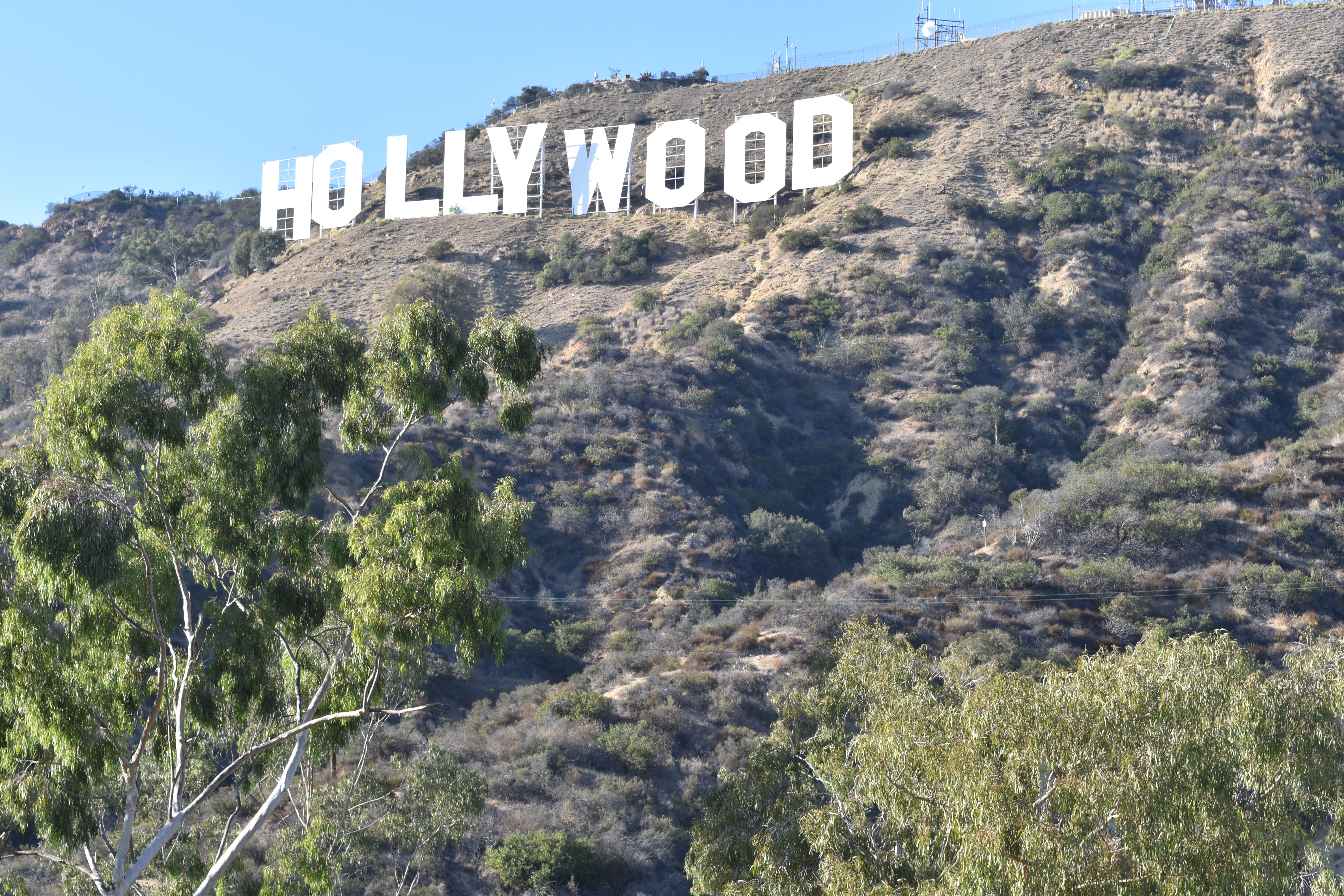 Hollywood Sign