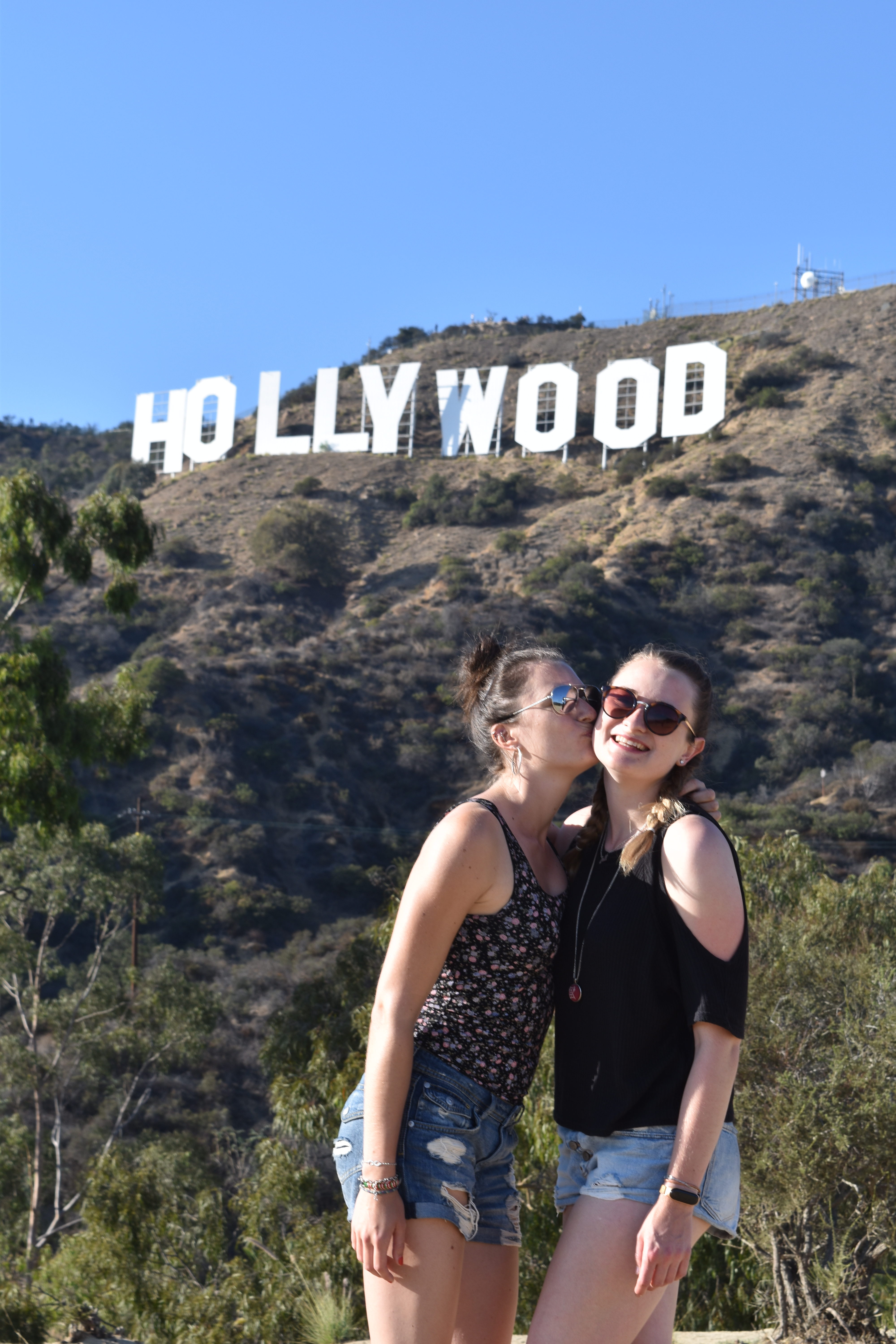 Hollywood Sign Friends