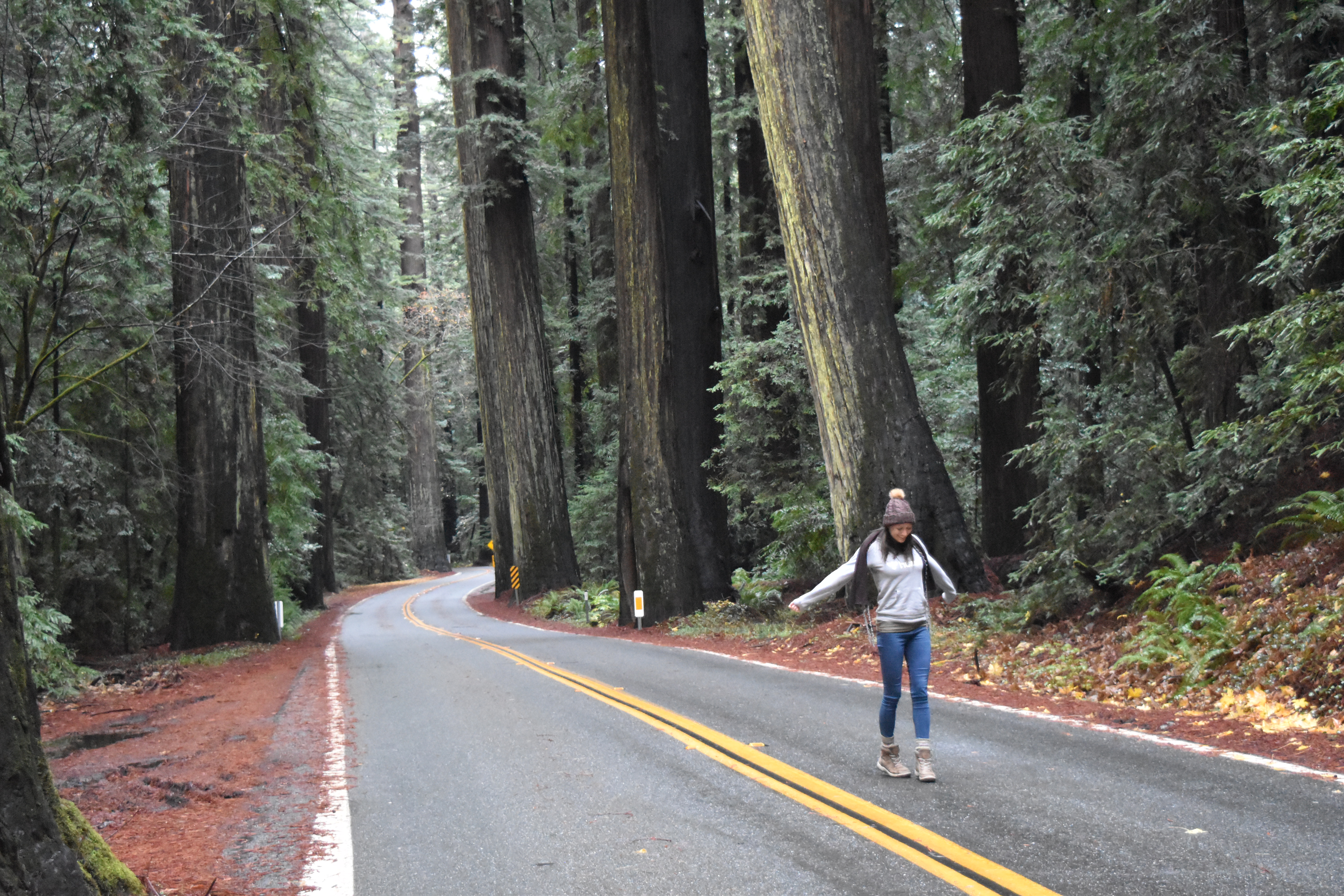 On the Street Redwoods