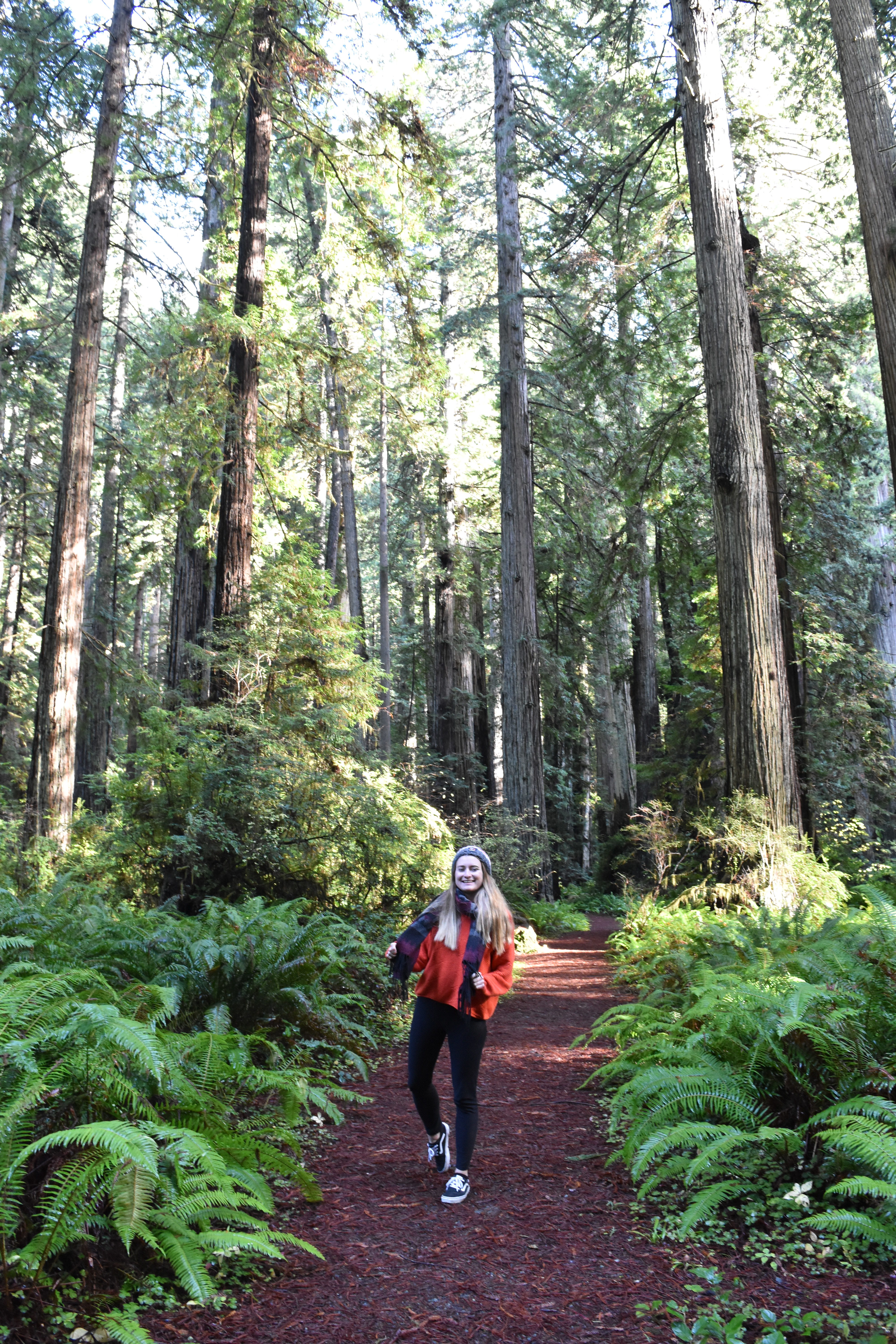 Juli zwischen Giganten - Redwoods