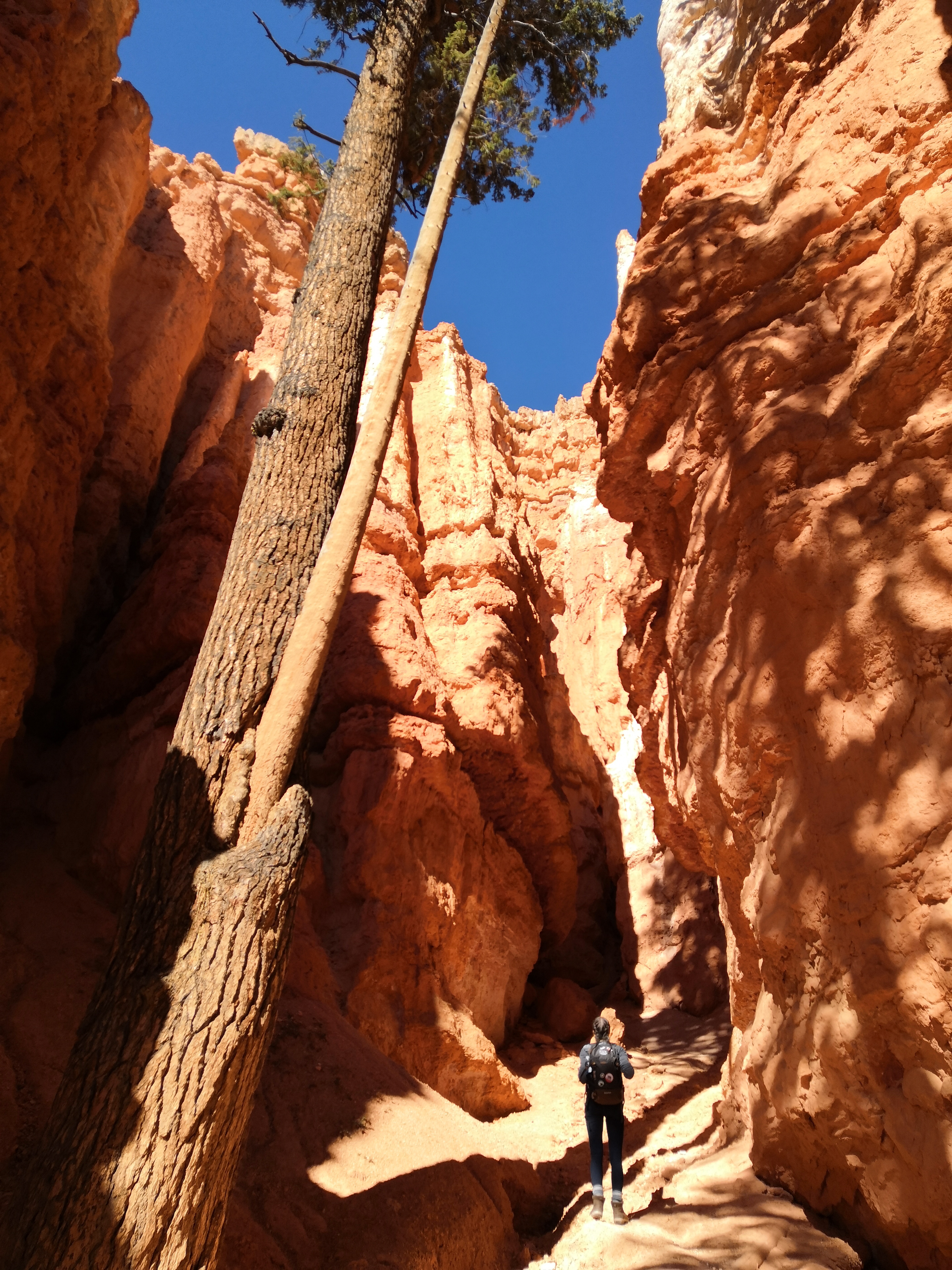 Wanderung Bryce Canyon